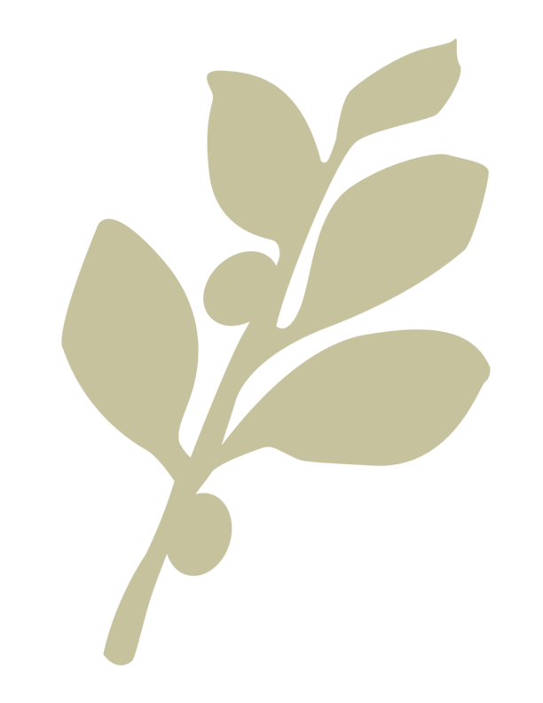 unnamed image
